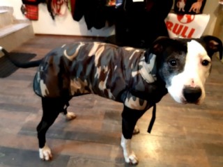 Pláštěnka bull army 45cm
